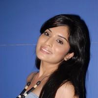 Nisha Shetty at Facebook Movie Logo Launch - Stills | Picture 93661